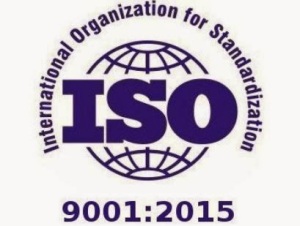 Javier Garcia - Verdugo Sanchez - ISO9001:2015
